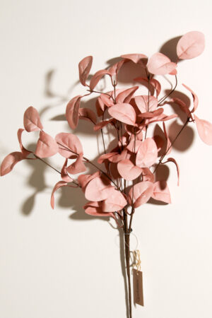 Foamflower 10 pink