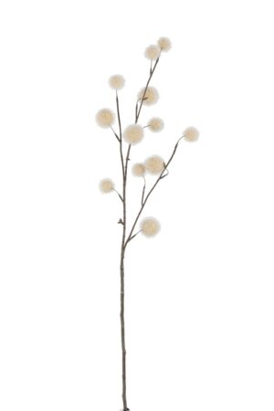 Tak Pompom Bollen Plastiek Beige