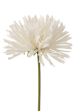 Chrysant Plastiek Wit Large