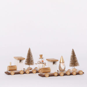 XM 22 train 24 assortiment