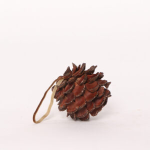 Chestybal S cupper/nature