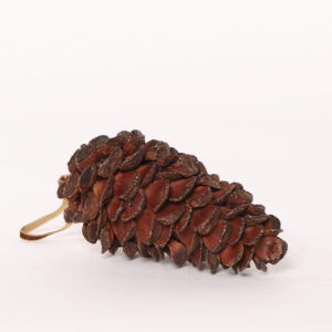 Chestyradish S cupper / naturel